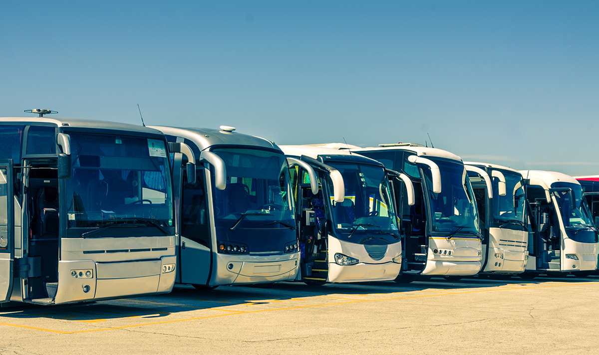 La Comisión de Fiestas Lustrales llega a un acuerdo con Autobuses Mesa para el transporte intermunicipal de los eventos